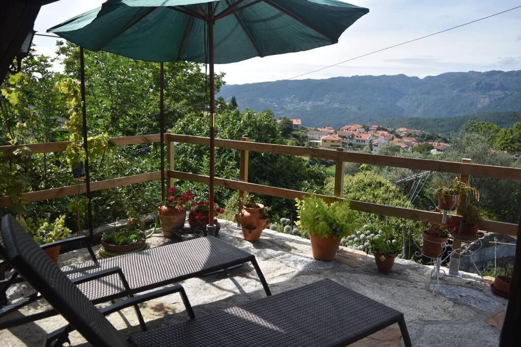 Casinha Estrela Da Encosta - Geres Villa Vieira do Minho Ngoại thất bức ảnh